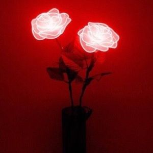 Meet your Posher, Hope